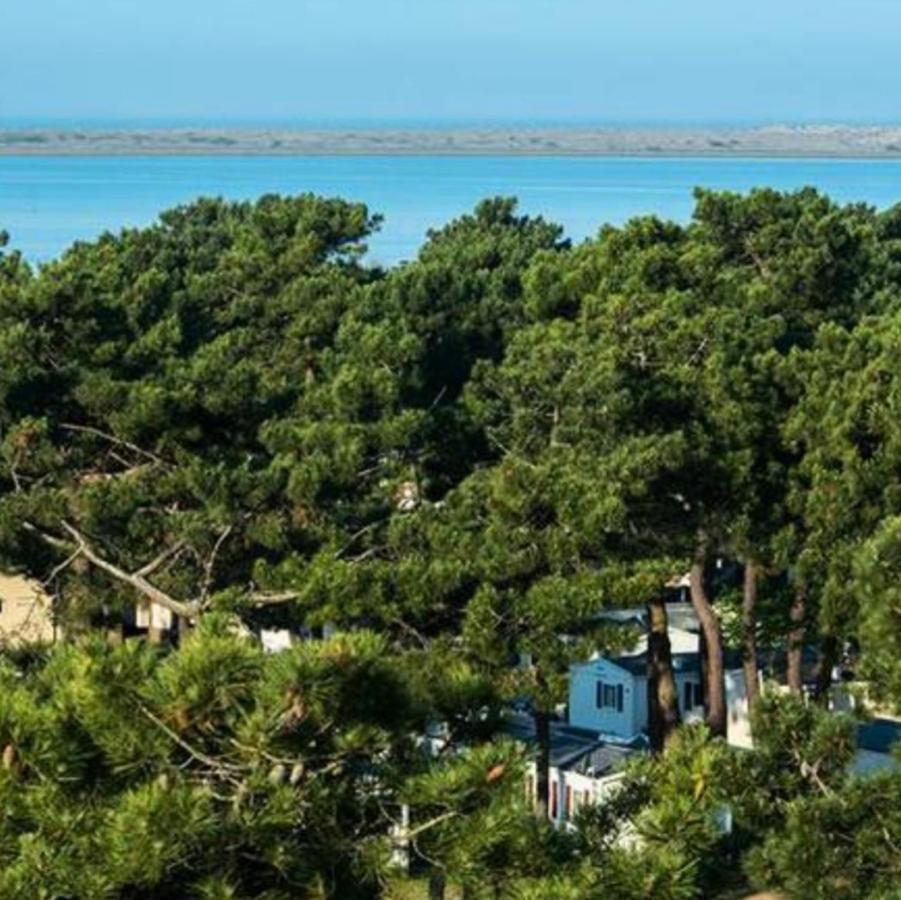 Camping La Palmyre Otel Les Mathes Dış mekan fotoğraf